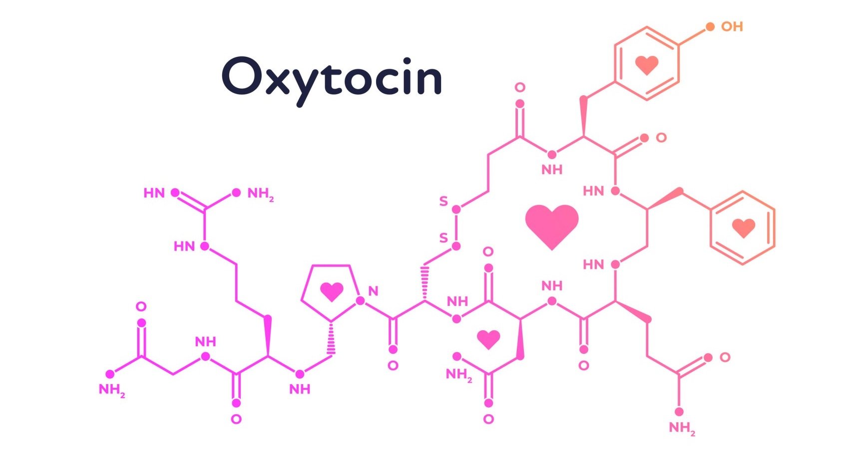 What is oxytocin