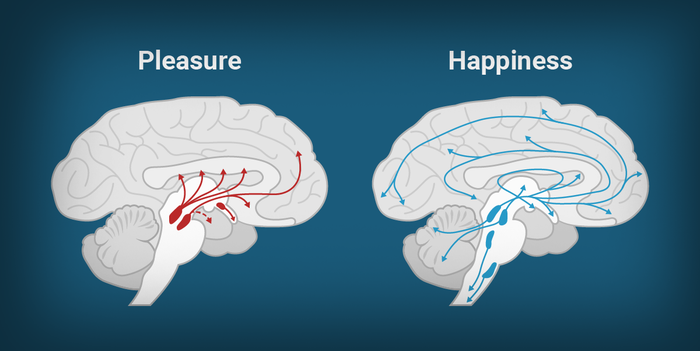 dopamine and serotonin